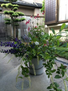 写真 2015-05-15 6 43 37