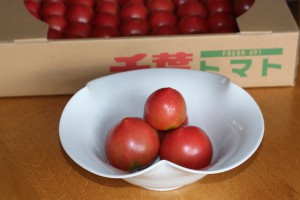 トマト　箱・器small
