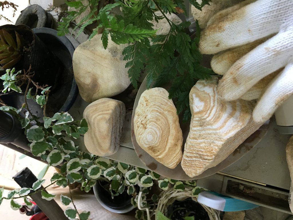 photo-9-14-16-12-28-40-pm