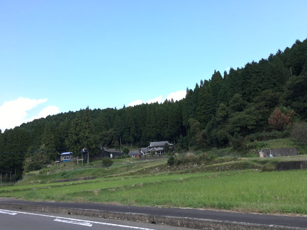 photo-10-29-16-1-02-52-pm