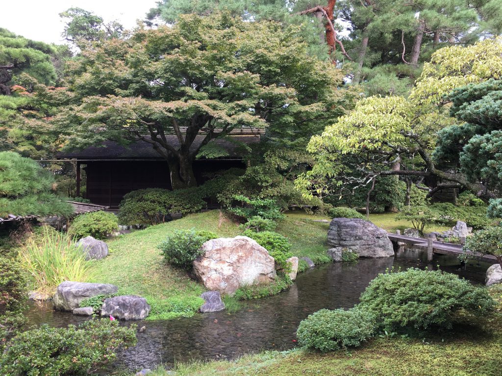 photo-10-19-16-2-41-43-pm-jpg%e5%b0%8f%e3%80%80%e5%ba%ad