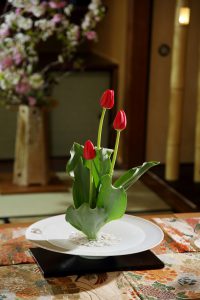 砥部焼　白磁　TOBEYAKI　white　porcelain