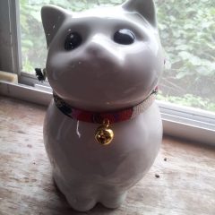 「幸運を運ぶ白い猫」