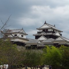 突っ張ってくれて、ありがとう。