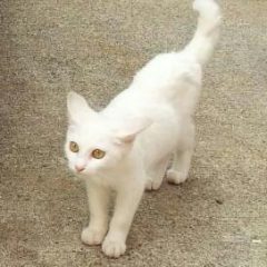 セミナーの仕事♪