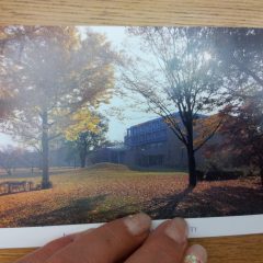 『お母さんへの尊敬の念が絶えないよ。大好き』