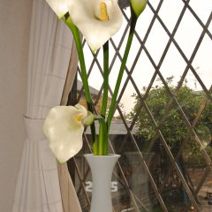 シンプル　イズ　ベスト　♪