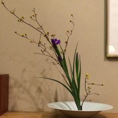 花器を愉しむ４