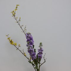 華道：竹泉古流