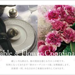 春のコーディネート展に八瑞窯の器で出展しています。