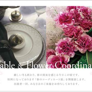 春のコーディネート展に八瑞窯の器で出展しています。