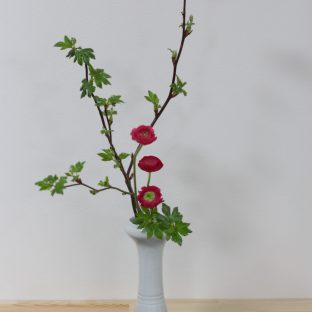 傘寿の内祝いのお品