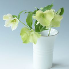 私のお気に入り♡