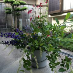 華道・竹泉古流　初夏の花展