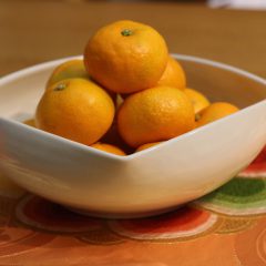 愛媛の温室蜜柑＆八瑞窯の器