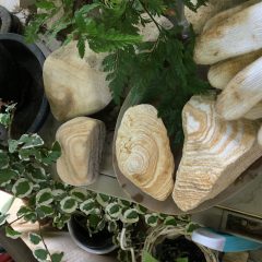 砥部焼の採石場