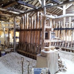 砥部に造園家をご案内　１