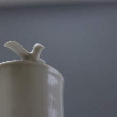 小動物シリーズ：鳩