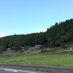 ご懐妊おめでとうございます　(*^_^*)