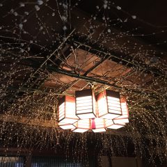 老舗料亭”河文”さんで餅花づくり。