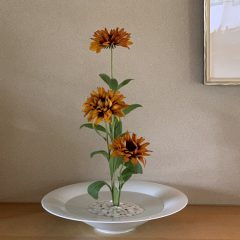 鬱陶しい梅雨時を少しでも快適に。