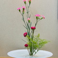 生け花で涼を感じる