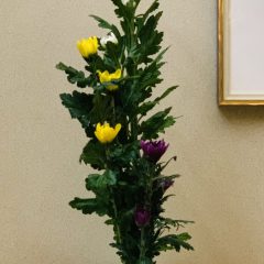 九月九日 重陽の節句