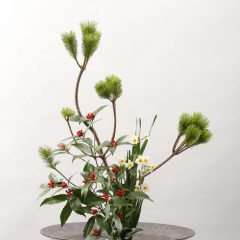 明けましておめでとうございます