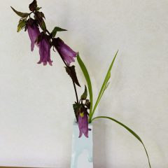 砥部焼　遠藤裕人さんの一輪挿しにホタルブクロを。