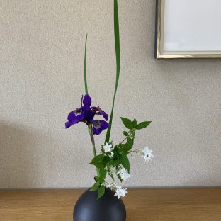 ウツギ（空木、別名ウノハナ）を萬古焼の一輪挿しに