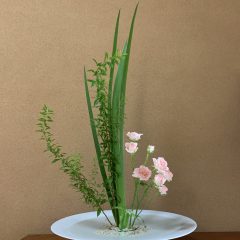 白磁の効果 White porcelain effect