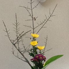 IKEBANA　四季を大切にしたい