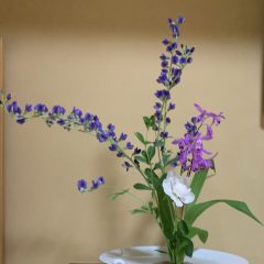 Ikebana