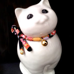 The Heart-Warming Episode of the Lucky White Cat