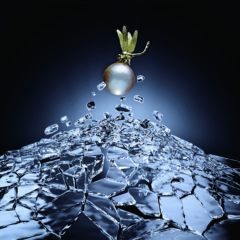 真珠 Jewelry＆Art  上村栄司 - Eiji UEMURA