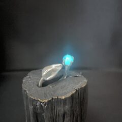 上村栄司　真珠展「ほたる」開催報告